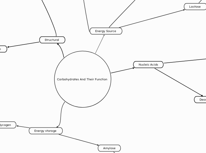 Carbohydrates And Their Function 