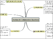 Section 20 Collaboration Questions