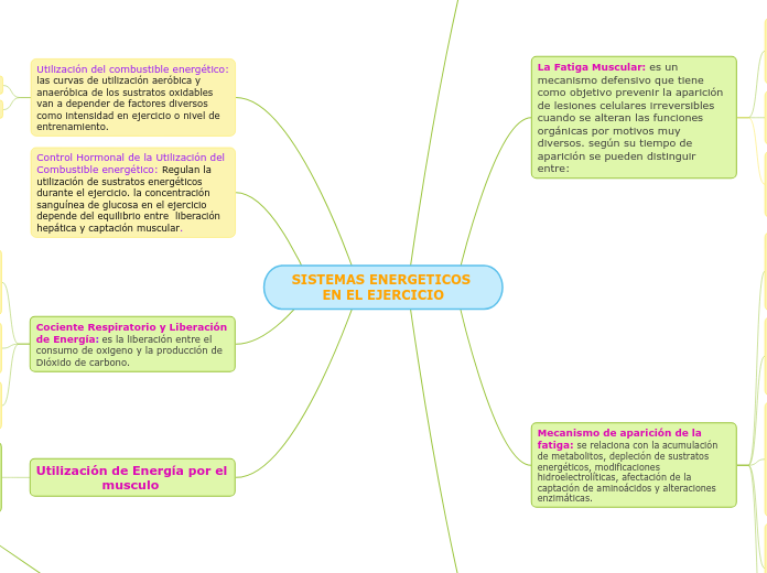 SISTEMAS ENERGETICOS EN EL EJERCICIO