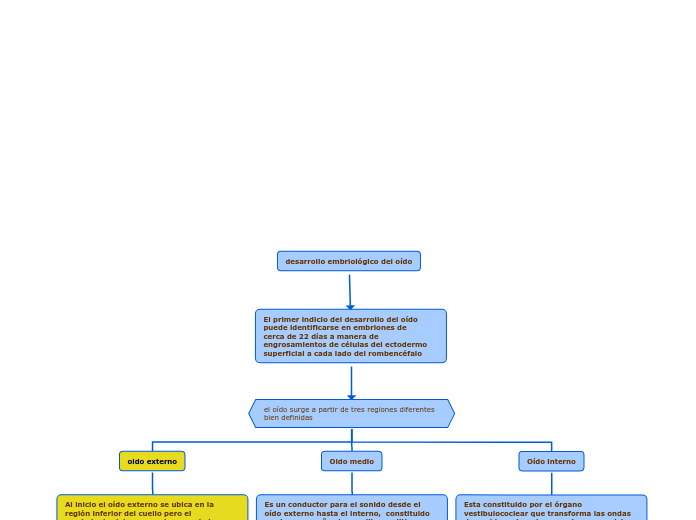 desarrollo embriológico del oído