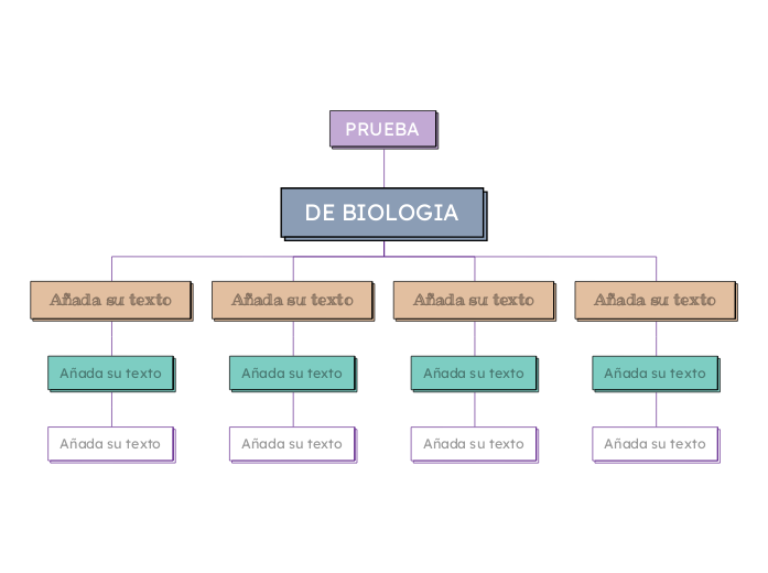 PRUEBA