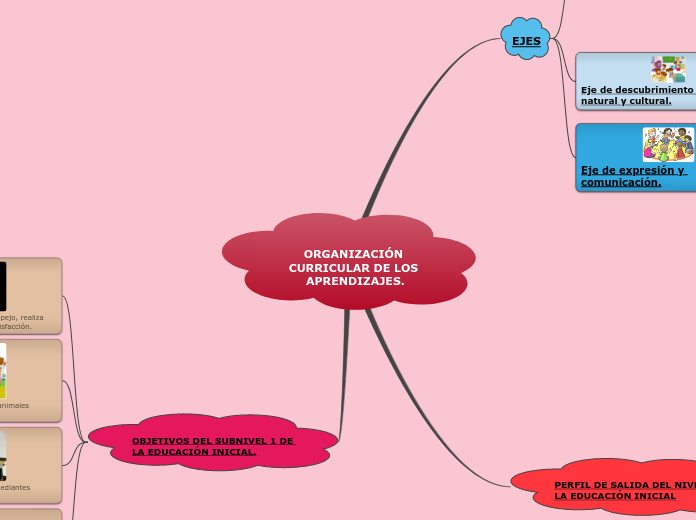 ORGANIZACIÓN CURRICULAR DE LOS APRENDIZAJES.