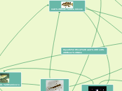 Aquati food web from Elbow lake