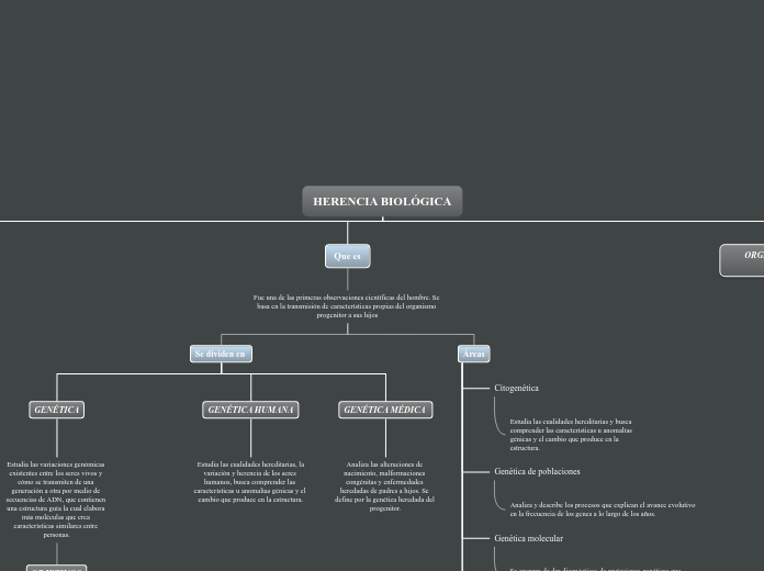 Organigrama arbol