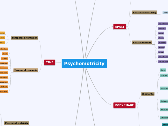 Psychomotricity