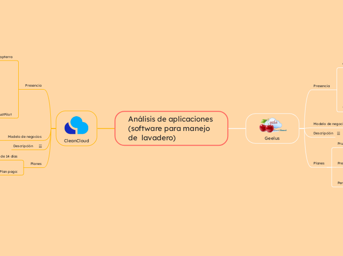 Análisis de aplicaciones
(software para manejo de  lavadero) 