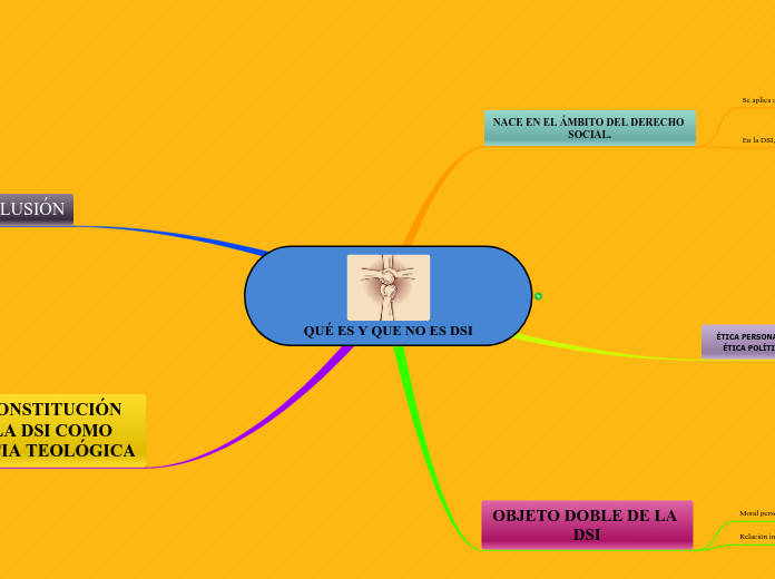 QUÉ ES Y QUE NO ES DSI