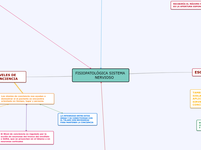 FISIOPATOLÓGICA SISTEMA 
                NERVIOSO