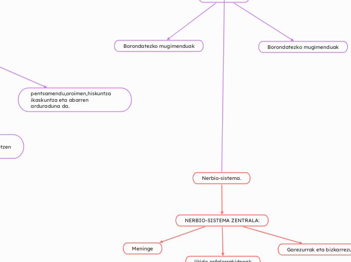 Nerbio-sistema.