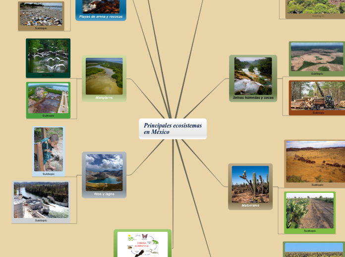 Principales ecosistemas
en México