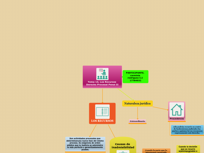Tema 13, Los Recursos Derecho Procesal Penal II