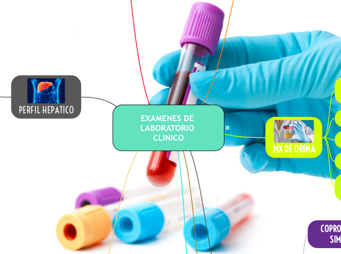 EXAMENES DE LABORATORIO CLINICO