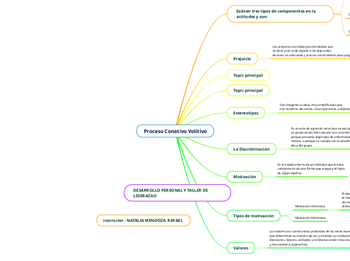 Proceso Conativo Volitivo