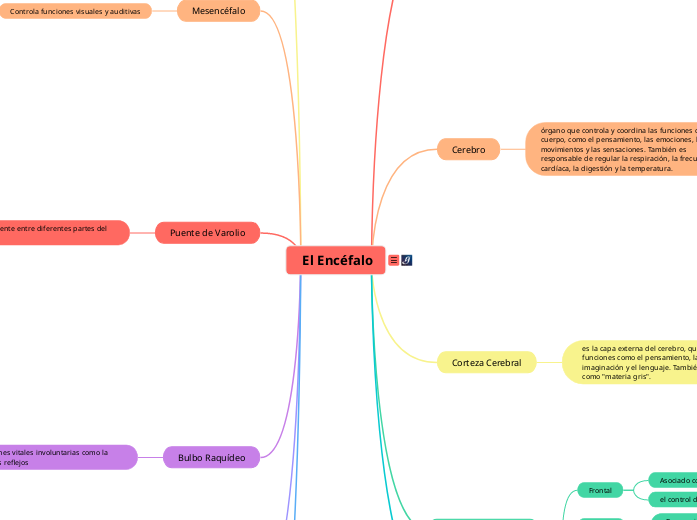 Mapa Mental: El Encéfalo