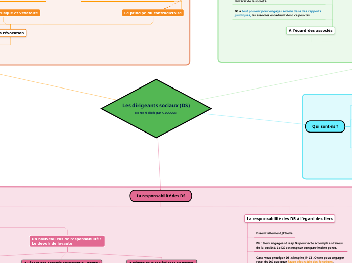 Les dirigeants sociaux (DS)
(carte réalisée par A.LOCQUE)