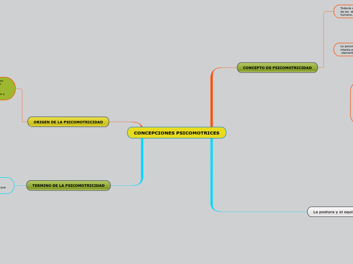 CONCEPCIONES PSICOMOTRICES