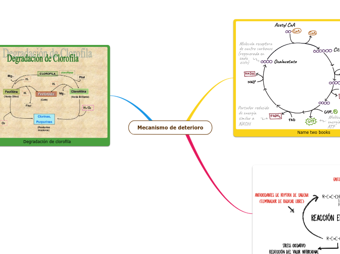 Mecanismo de deterioro