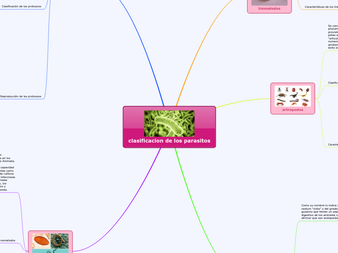 clasificacion de los parasitos