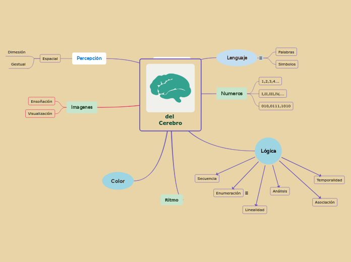 ACCIONES QUE REALIZA NUESTRO CEREBRO