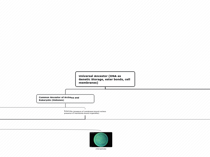 JE Universal Ancestor (DNA as Genetic Storage, ester bonds, cell membranes)