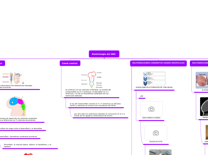 Embriología del SNC 