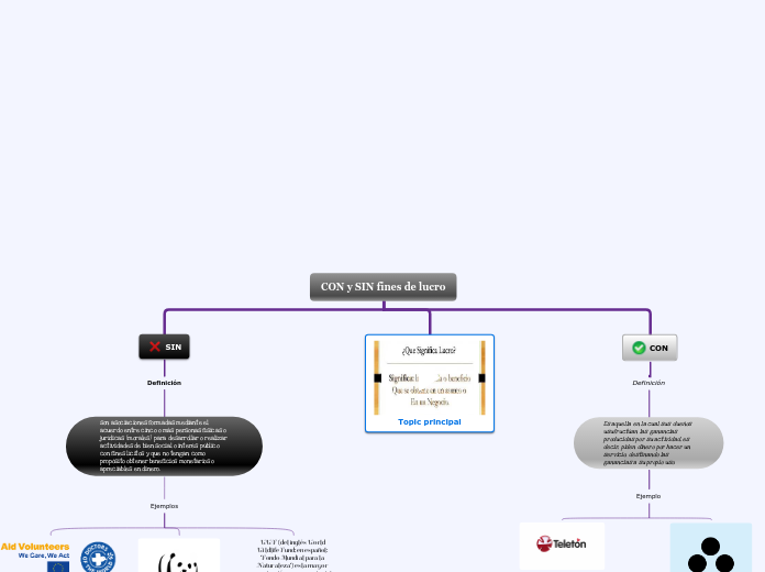 CON y SIN fines de lucro