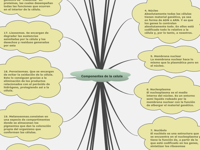 Componentes de la celula