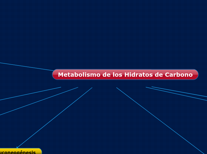 Metabolismo de los Hidratos de Carbono