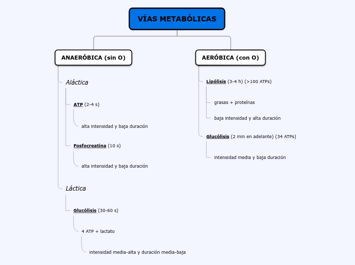 VÍAS METABÓLICAS