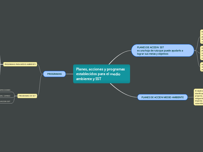 Planes, acciones y programas 
establecidos para el medio ambiente y SST