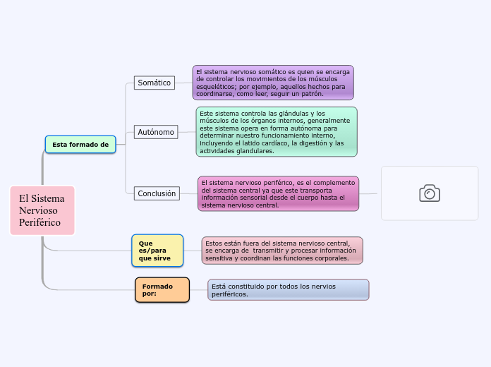 Organigrama arbol