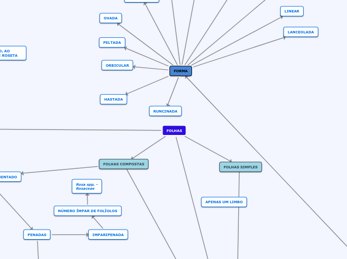 MAPA CONCEITUAL: FOLHAS - GABRIELA E ORNELA