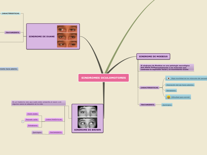 SINDROMES OCULOMOTORES