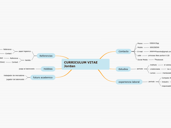 CURRICULUM VITAE Jordan