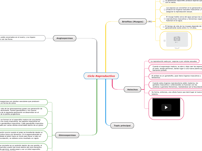 Ciclo Reproductivo