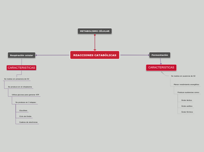 REACCIONES CATABÓLICAS