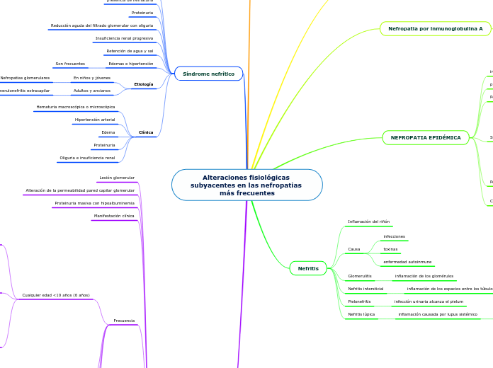 Alteraciones fisiológicas subyacentes en las nefropatias más frecuentes