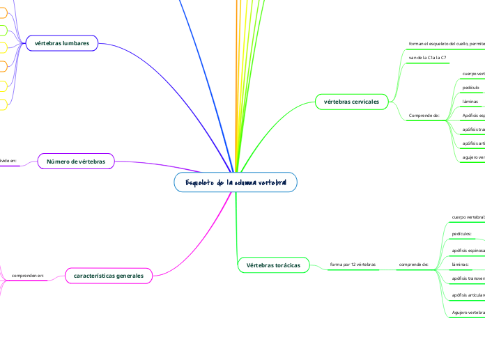 Esqueleto de la columna vertebral