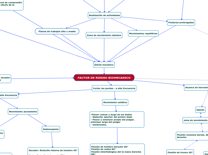 FACTOR DE RIESGO BIOMECANICO