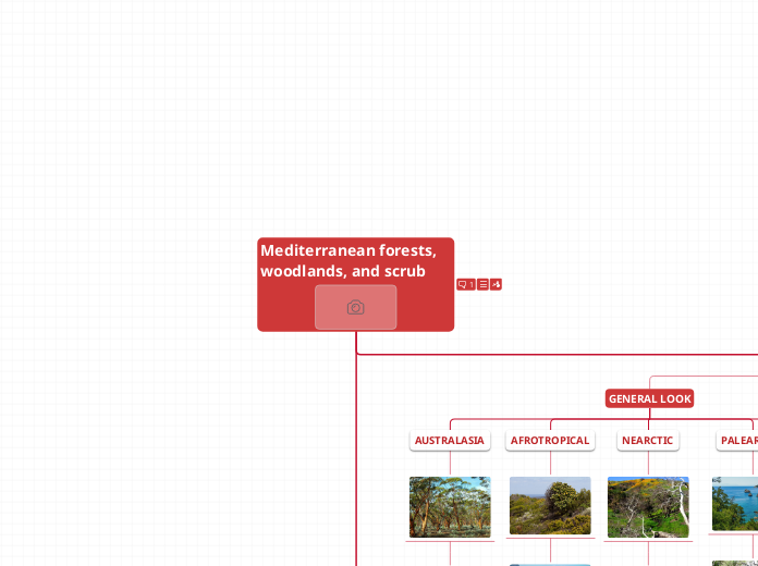 Mediterranean forests, woodlands, and scrub