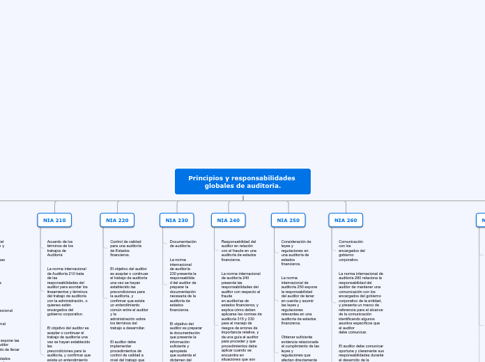 Principios y responsabilidades globales de auditoria.
