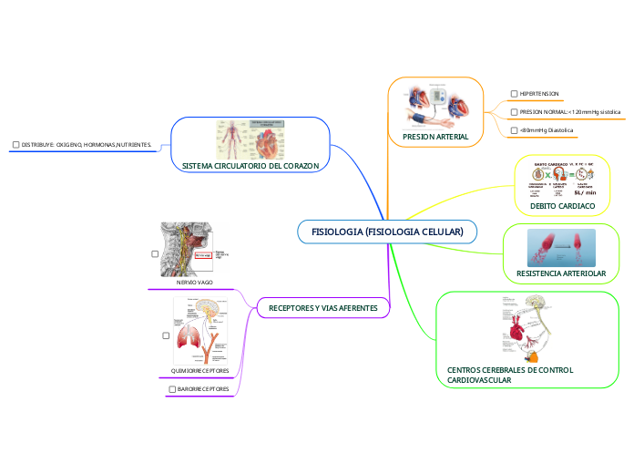 FISIOLOGIA (FISIOLOGIA CELULAR)