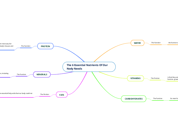 The 6 Essential Nutrients Of Our Nody Needs