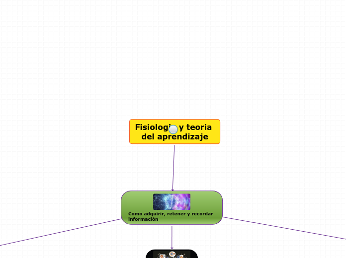 Fisiología y teoría del aprendizaje