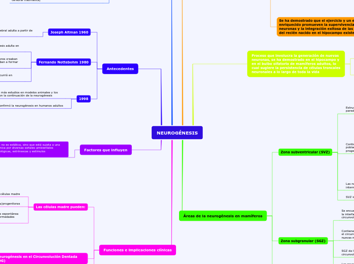 NEUROGÉNESIS