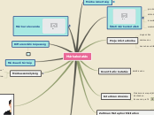 Sample Mind Map