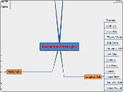 Instructional Strategies for VisualArts Learners