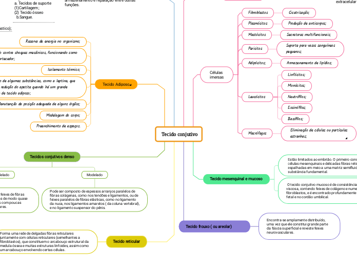    Tecido conjutivo