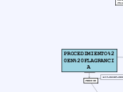 PROCEDIMIENTO EN FLAGRANCIA