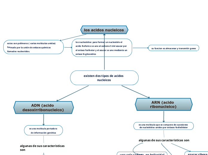 existen dos tipos de acidos nucleicos